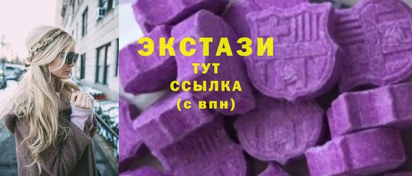 соль ск Пересвет