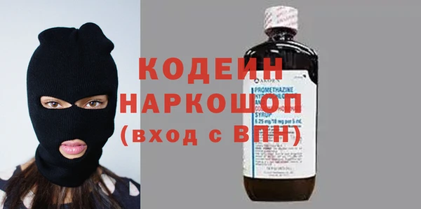 гидра Покачи