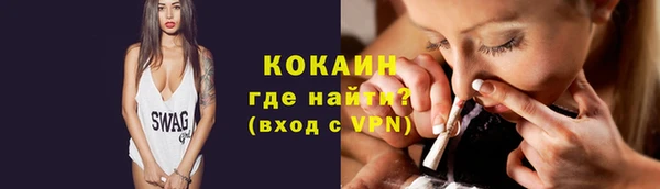 соль ск Пересвет